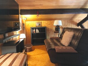 Fernseher, Kamin, DVD-Player, Videothek