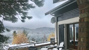 Un balcón con vistas a un bosque nevado.