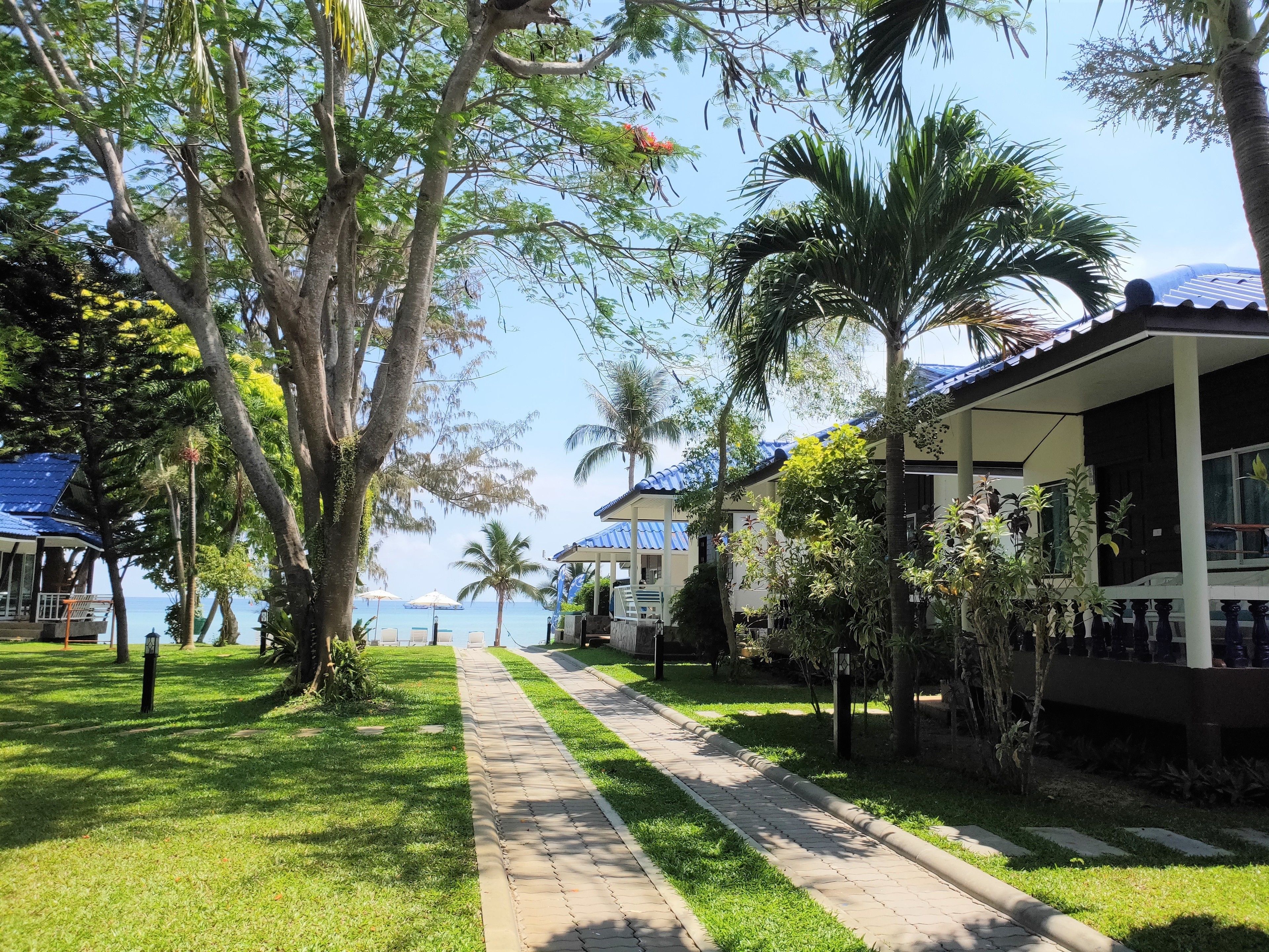 superior bungalow | garden view