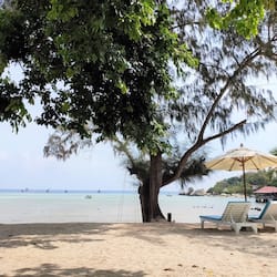 Deluxe Beach Front Bungalow | Beach/ocean view