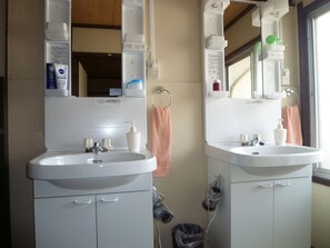 A bathroom with two sinks, a mirror, and a hairdryer.