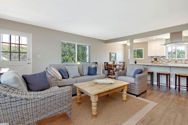 TV, DVD player, books, video library