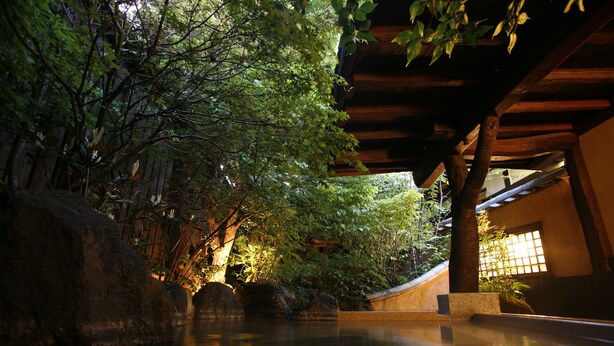 A tranquil indoor garden with a stone pathway, wooden structures, and lush greenery.