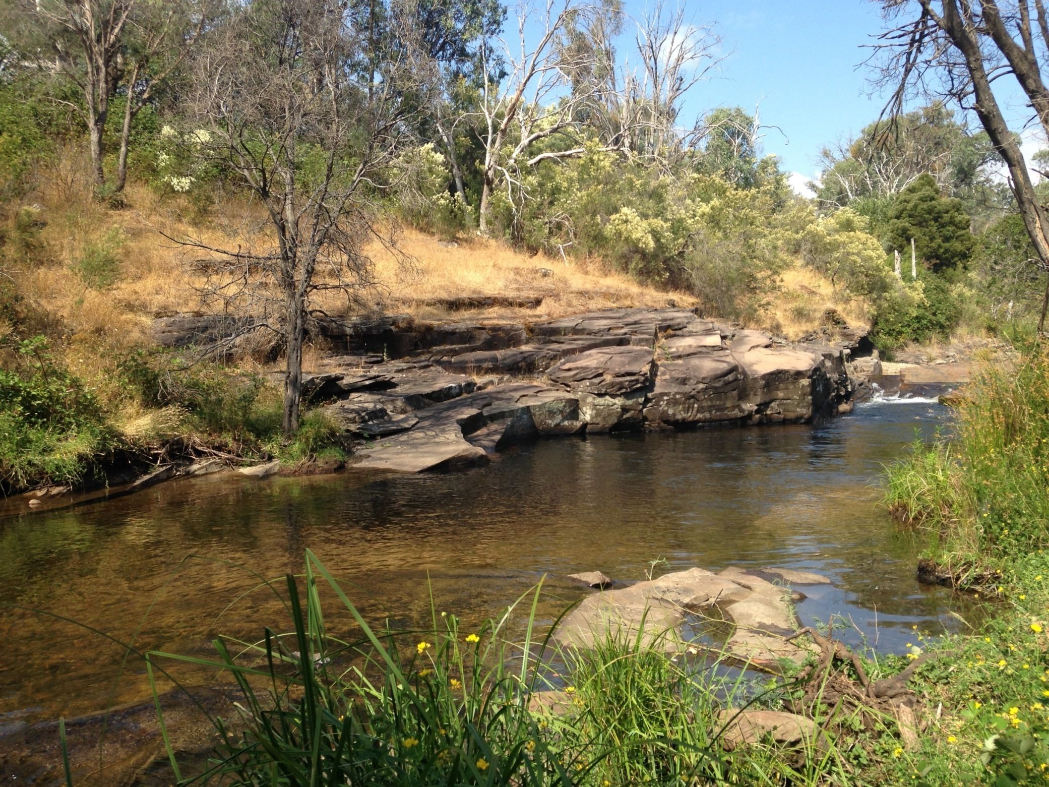 A natural landscape with a stream flowing over rocks, surrounded by trees and vegetation.