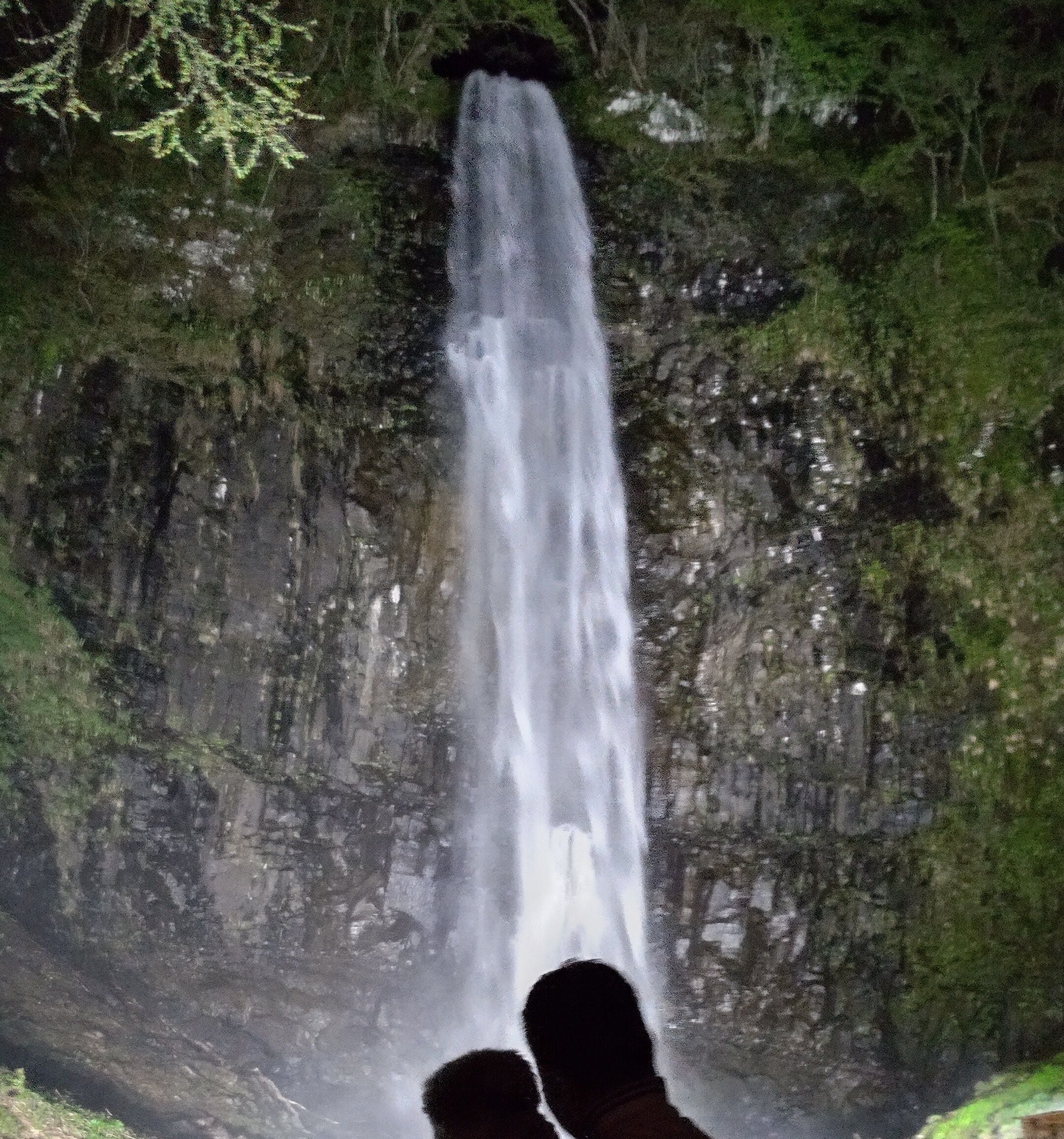 A waterfall cascading down a rocky cliff surrounded by greenery.