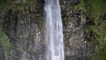 A waterfall cascading down a rocky cliff surrounded by greenery.