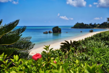 Beach nearby, white sand