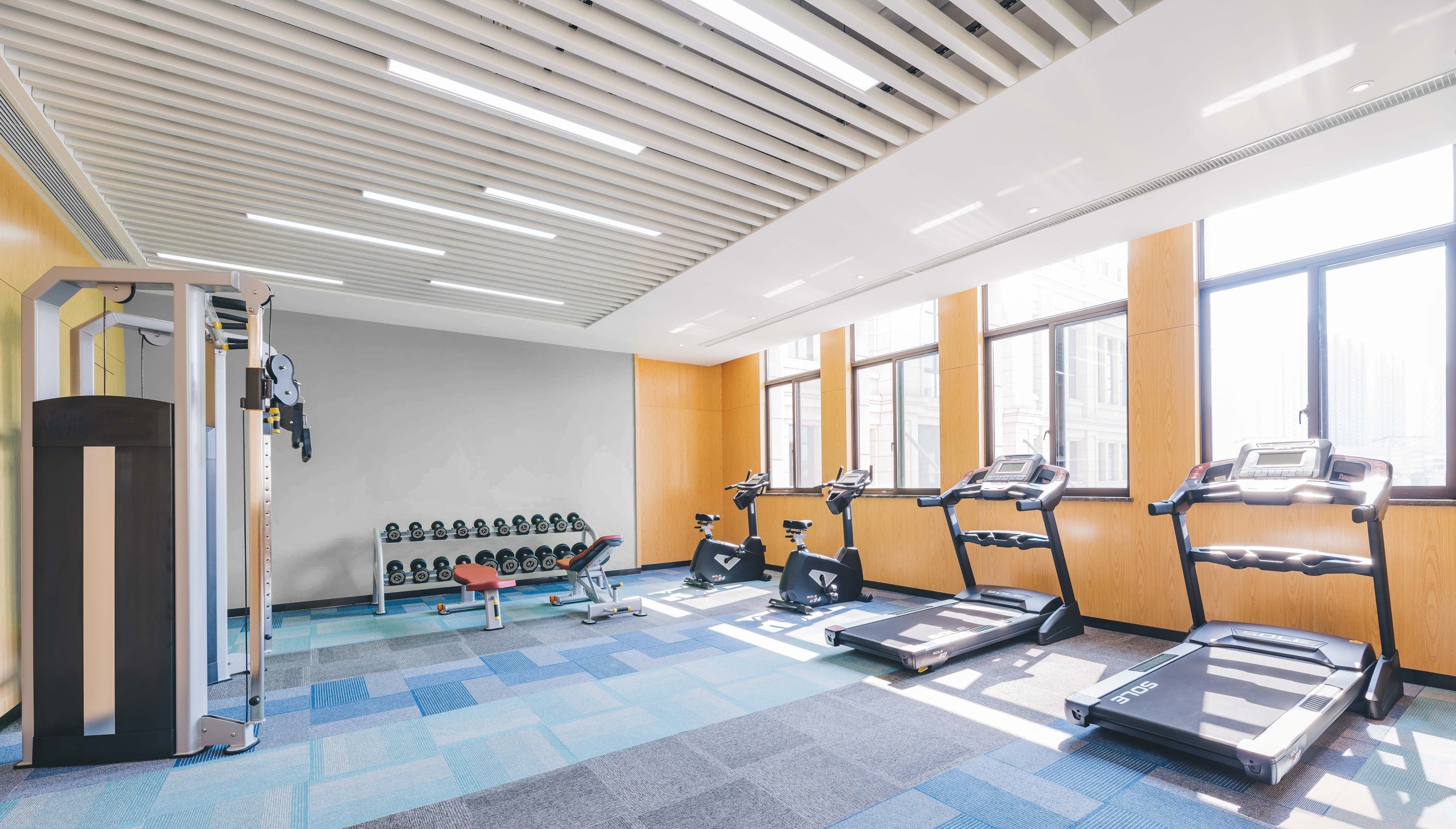 A gym with treadmills, elliptical machines, and a squat rack.