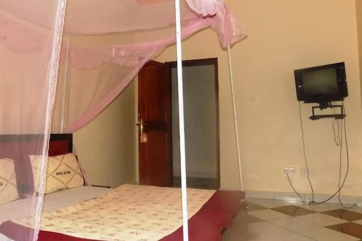 A room with a bed under a canopy, a television on the wall, and a door.