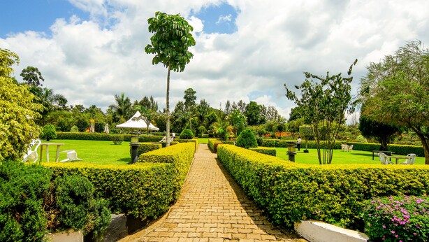 A paved pathway leading through a well-manicured garden with neatly trimmed hedges and a variety of trees. - Kalya Courts Hotel (Fort Portal)