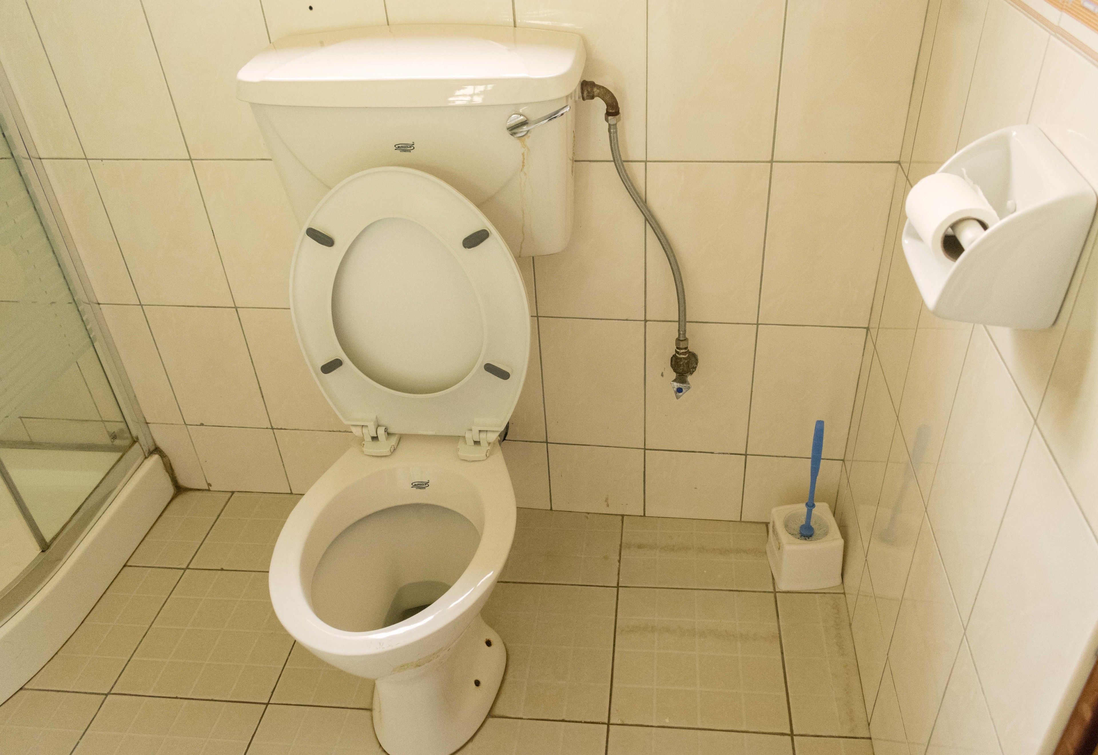Un inodoro estándar con manija de descarga, dispensador de papel higiénico y rociador de bidé.