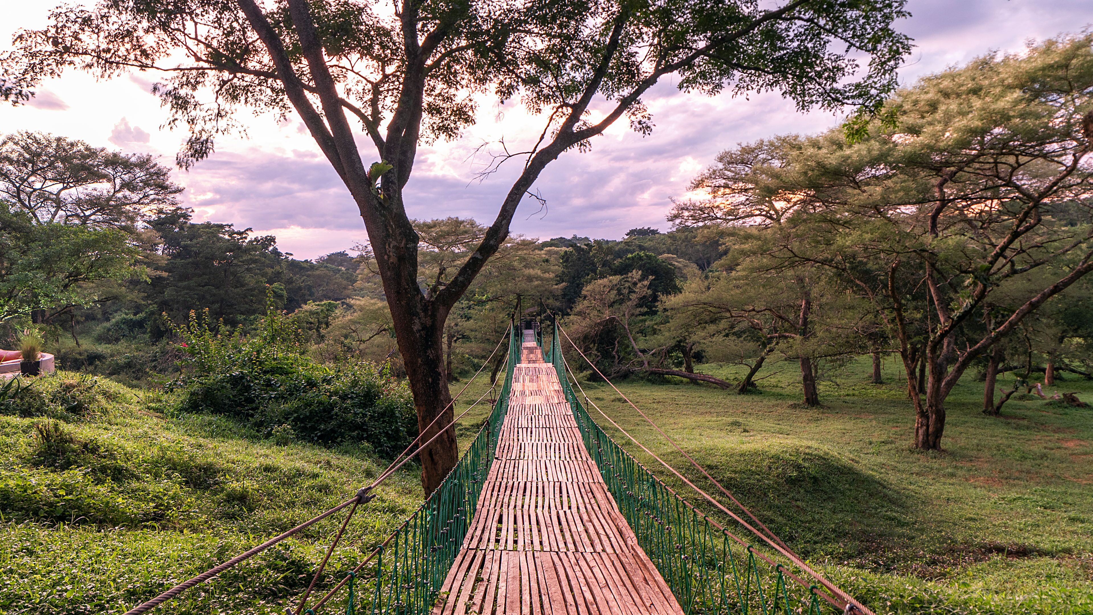 A wooden suspension bridge in a natural setting with trees on either side.