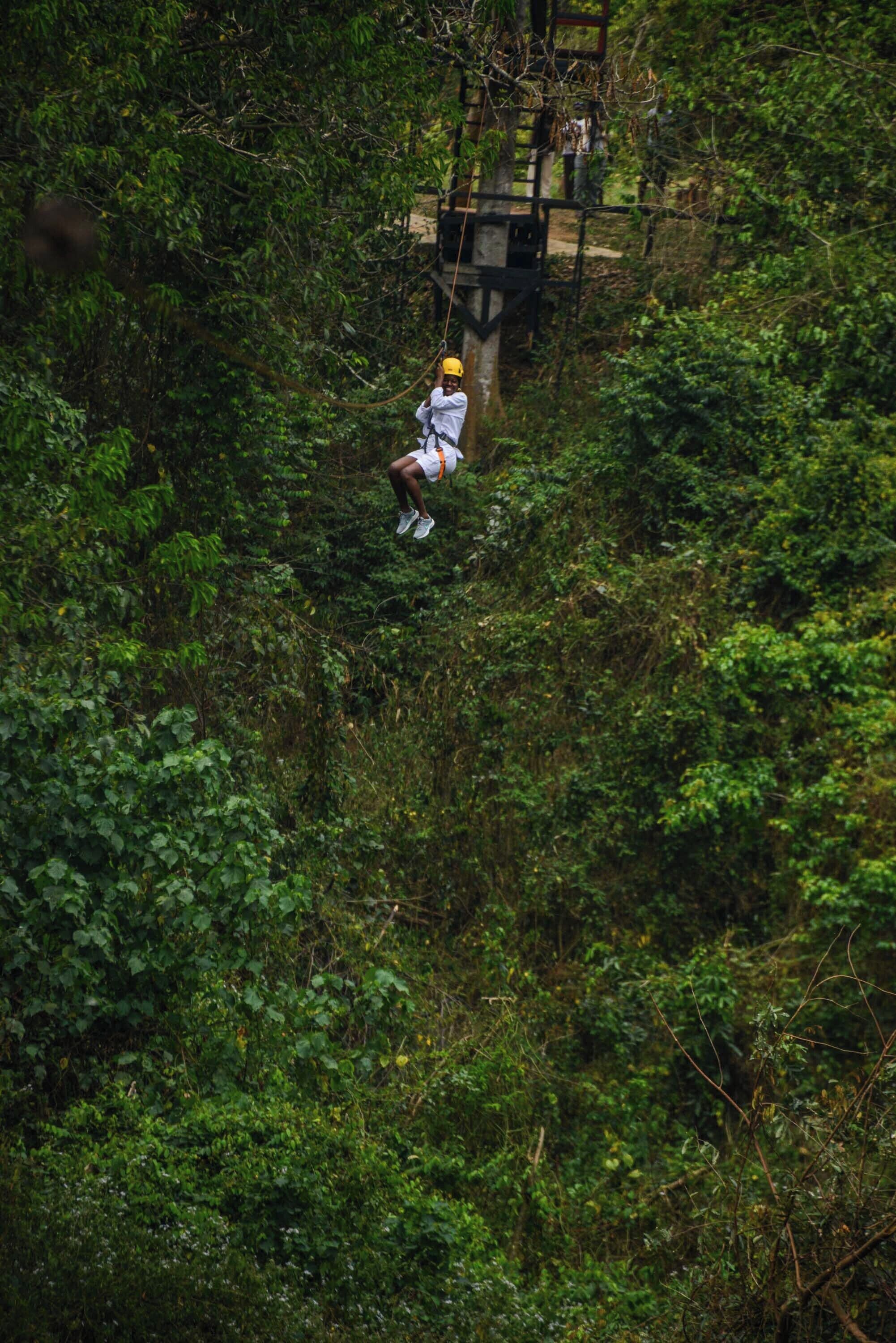 Eine Person saust mit einer Zipline durch einen dichten Wald.