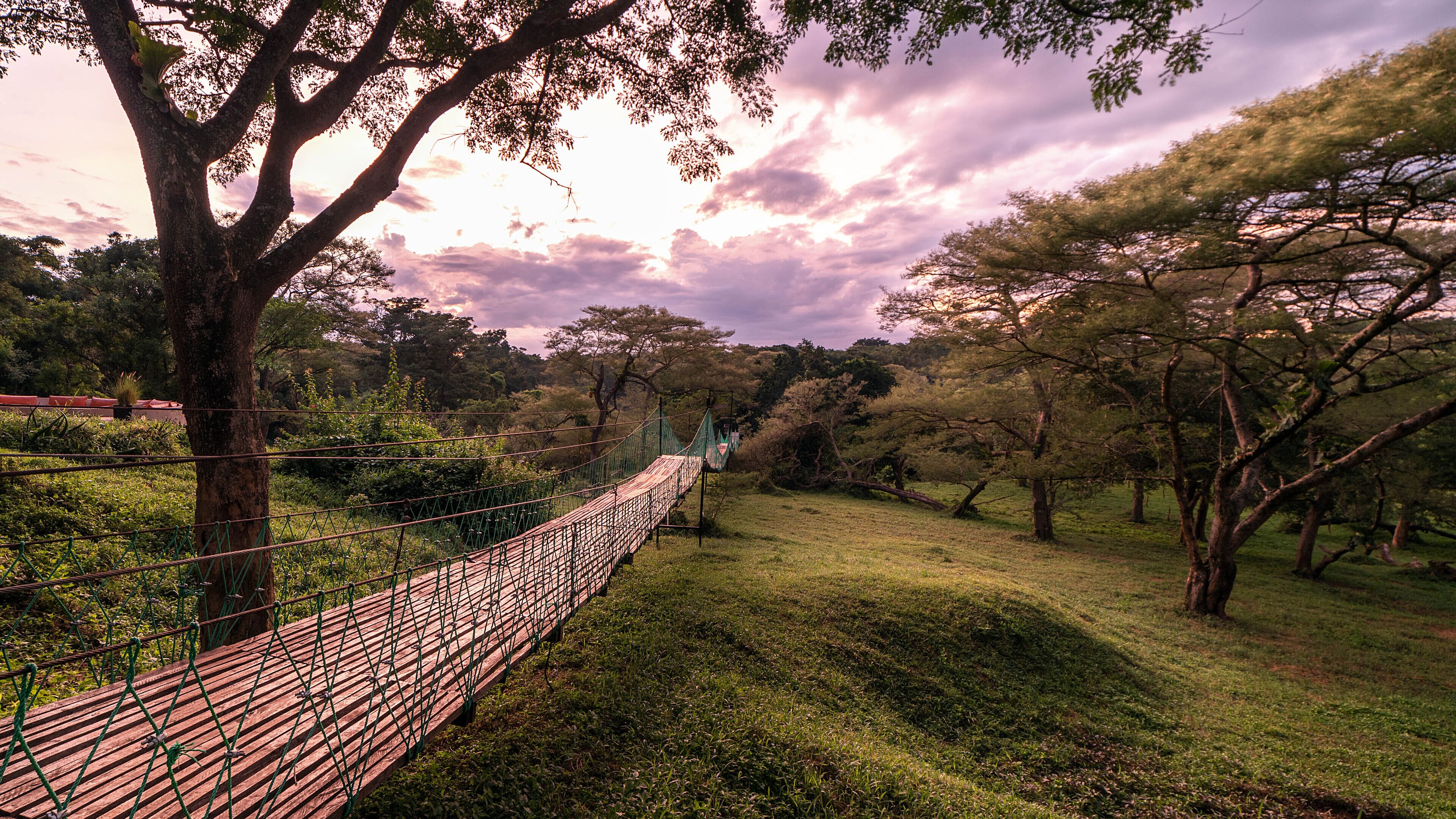 A wooden suspension bridge in a natural setting with trees and grassy areas.