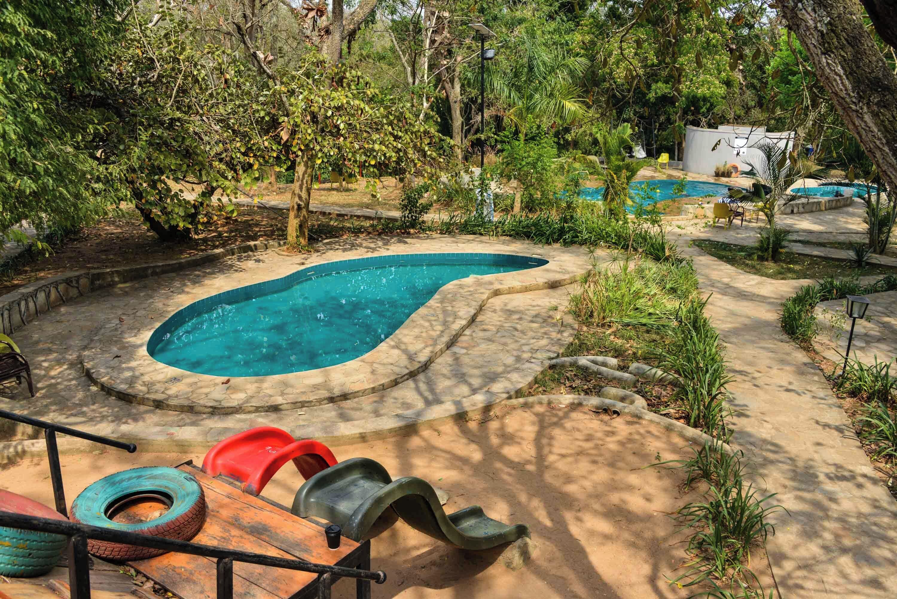 Piscina com borda curva, rodeada por árvores e um deck de concreto.
