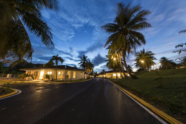 A residential street at dusk with houses on either side, palm trees, and a clear sky.