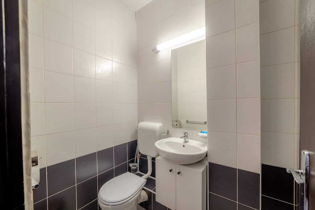 Habitación estándar con 2 camas individuales | Baño | Artículos de higiene personal gratuitos, secador de pelo y zapatillas