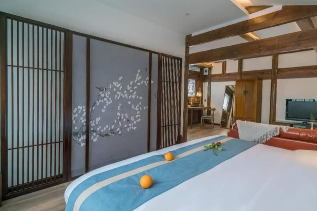 A hotel room with a large bed, a television, and a sliding door with a floral design.