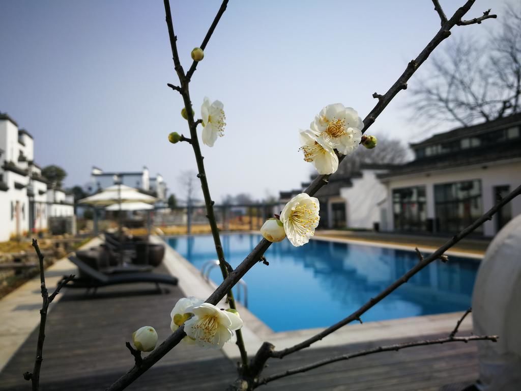 Pemandangan dari properti
