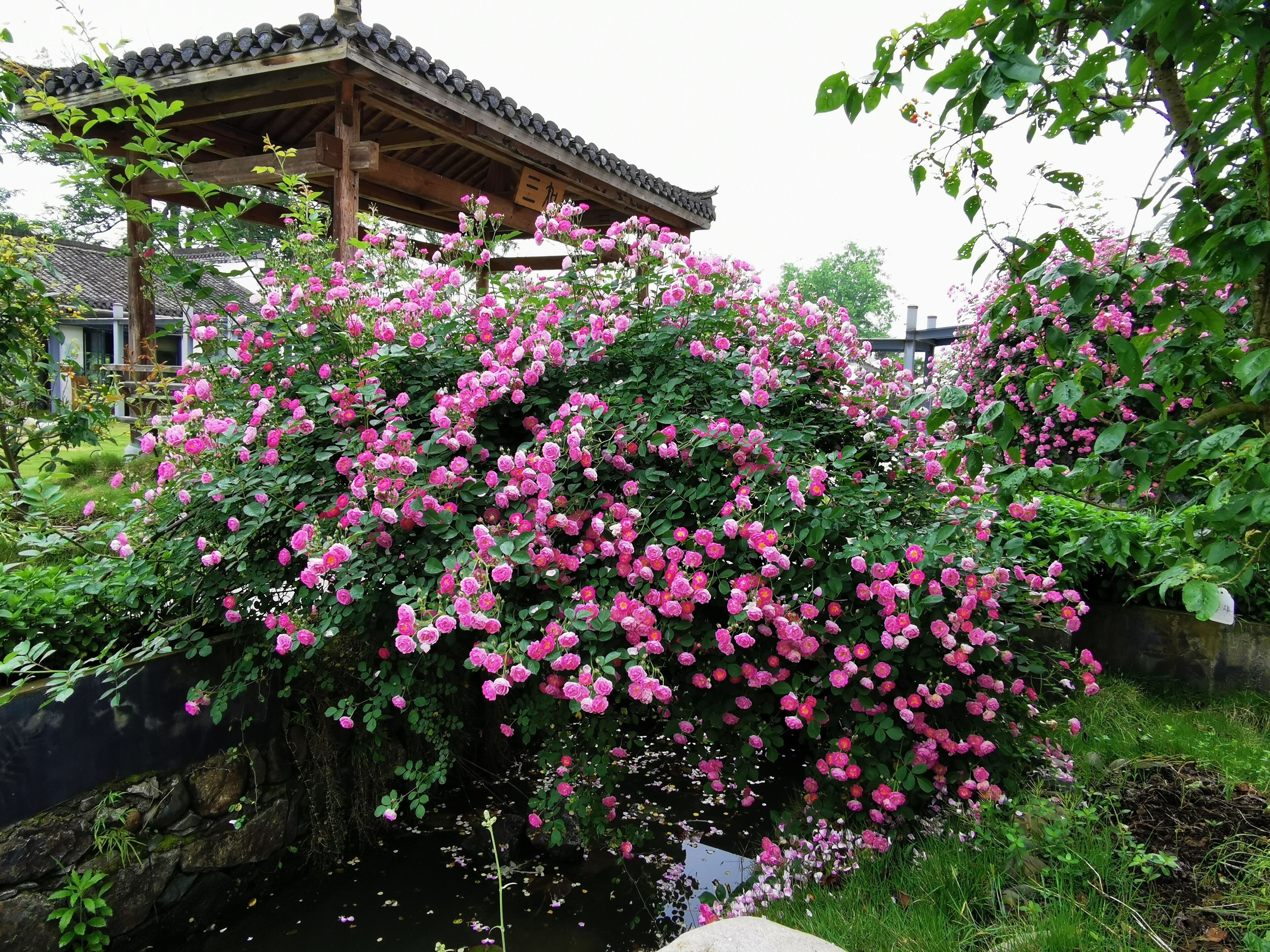 A traditional Japanese building with a tiled roof and a wooden structure.