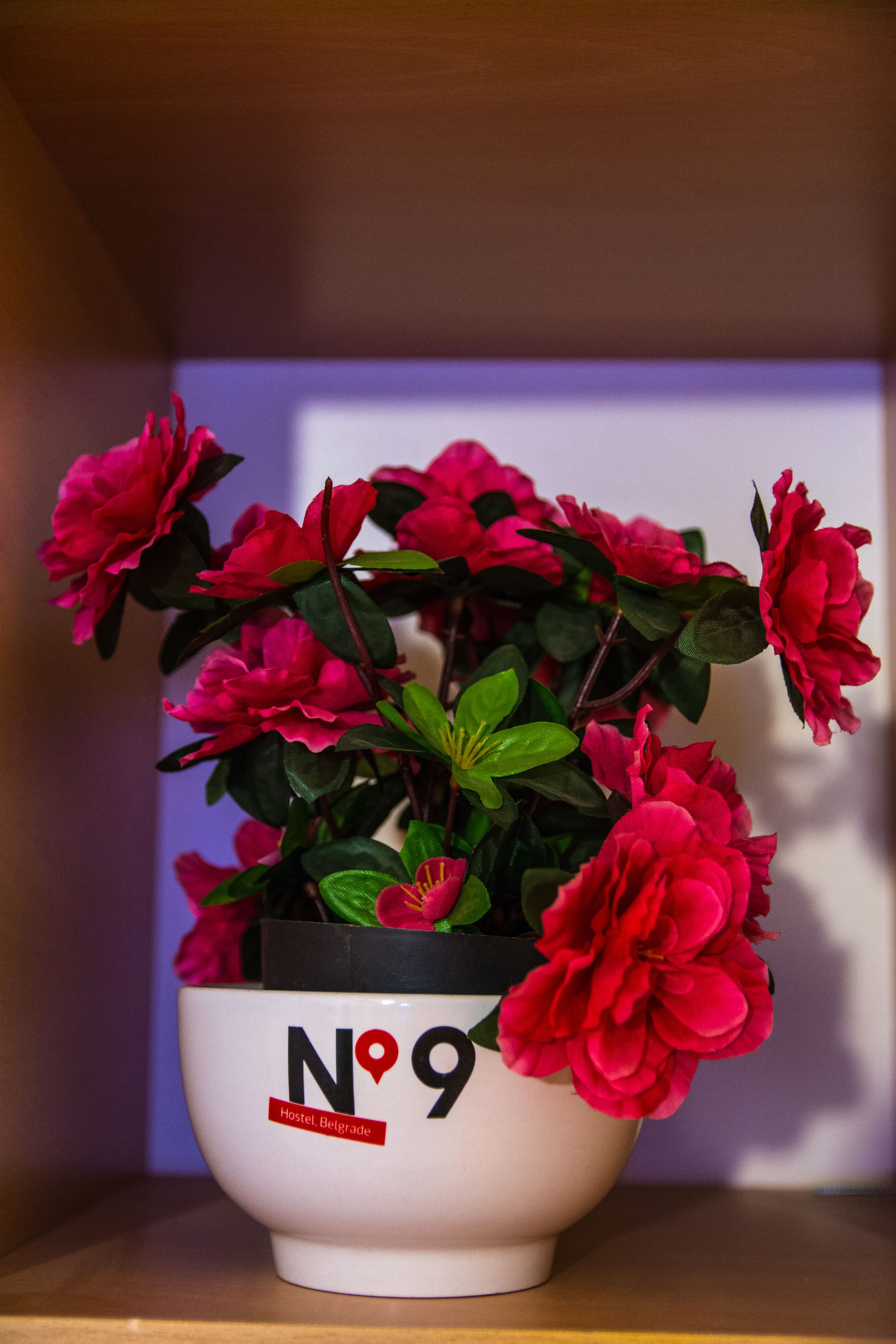 Photo - Rooms And Apartments S