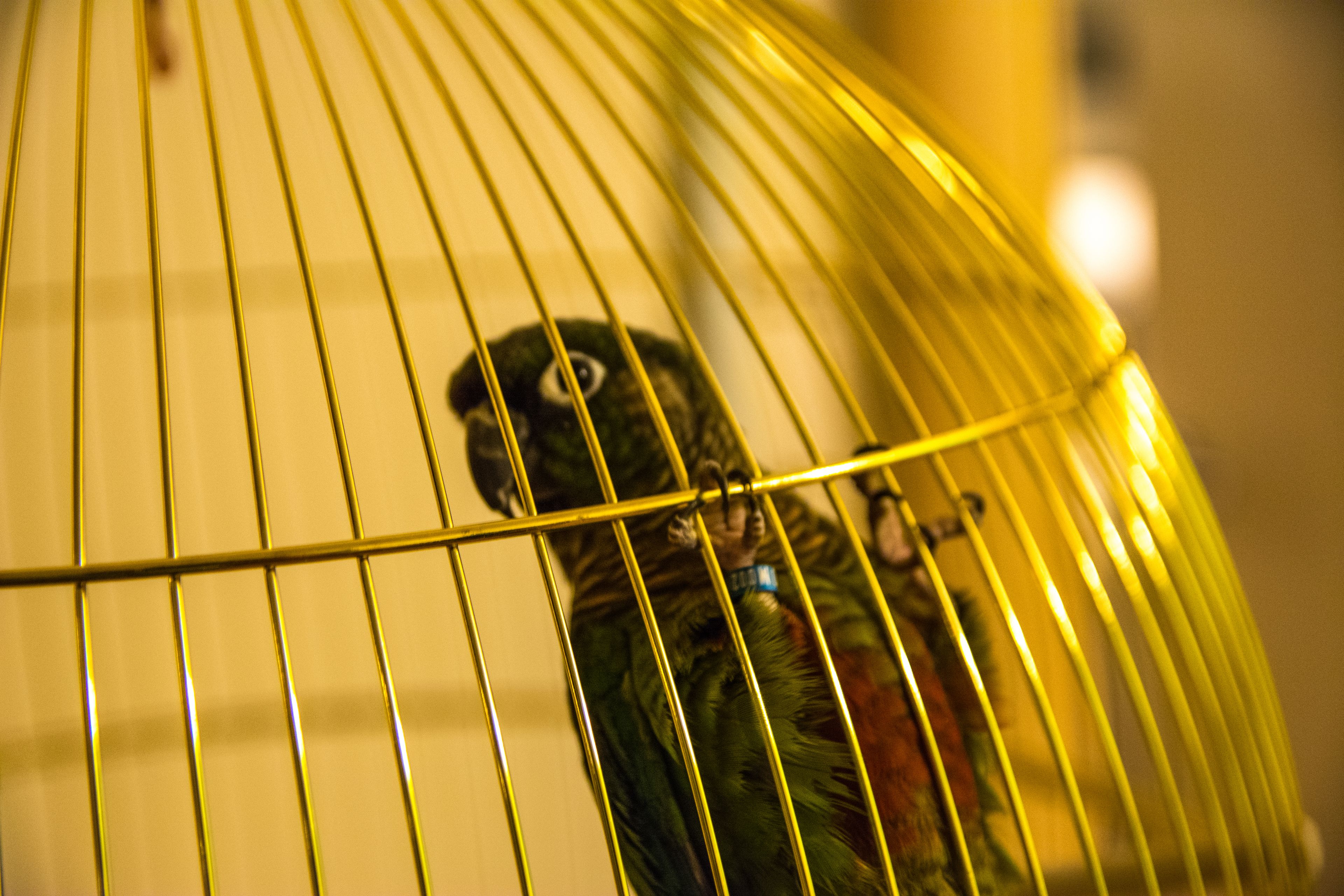 Photo - Rooms And Apartments S