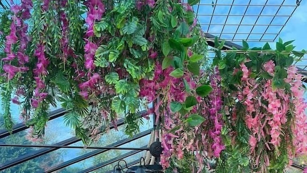 Un restaurante interior con plantas colgantes, sillas azules y una pared de ladrillo.