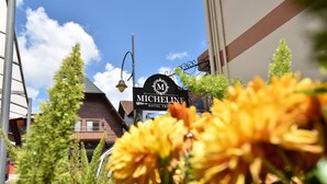A hotel sign with a logo and name, surrounded by greenery and a clear sky. - Hotel Micheline (Gramado)