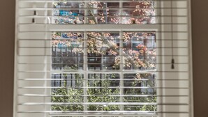 Una ventana con persianas entreabiertas, mostrando una vista de un edificio con señalización y un árbol de flores rosadas.
