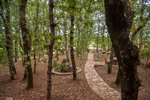 Khuôn viên nơi lưu trú