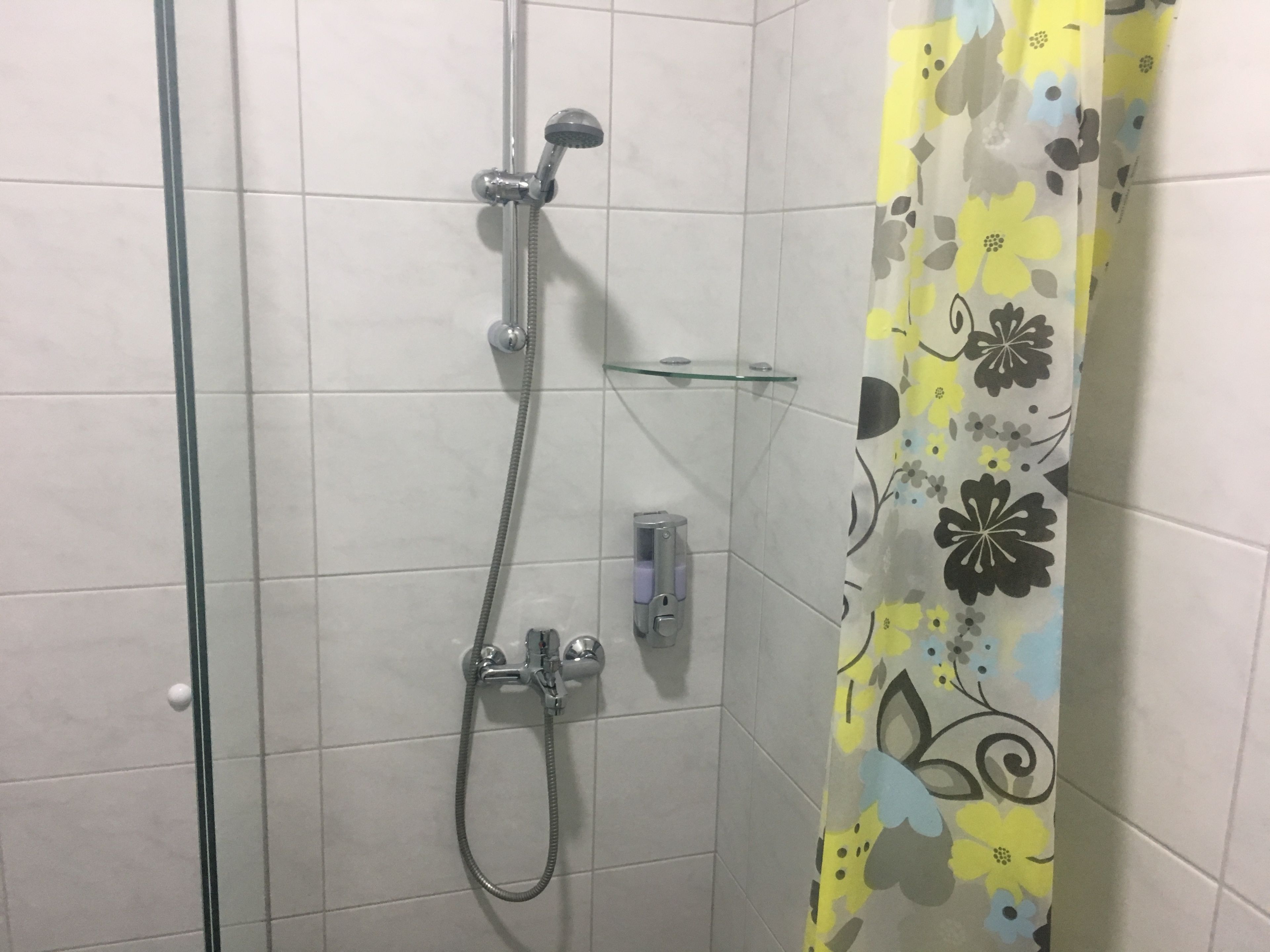 A shower area with a glass door, a showerhead, and a handheld shower attachment.