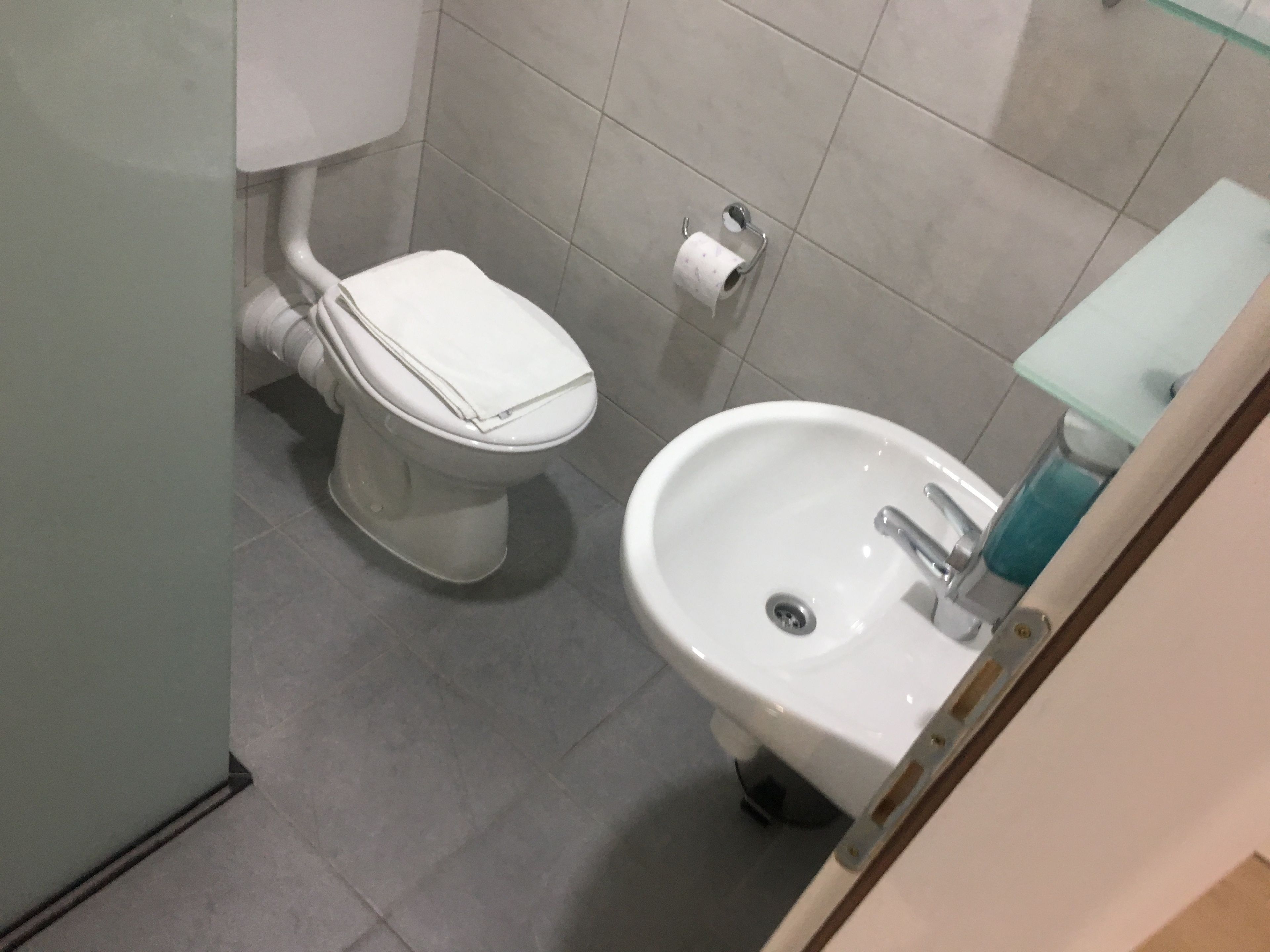 A bathroom with a toilet and a sink.