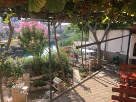 Jardim