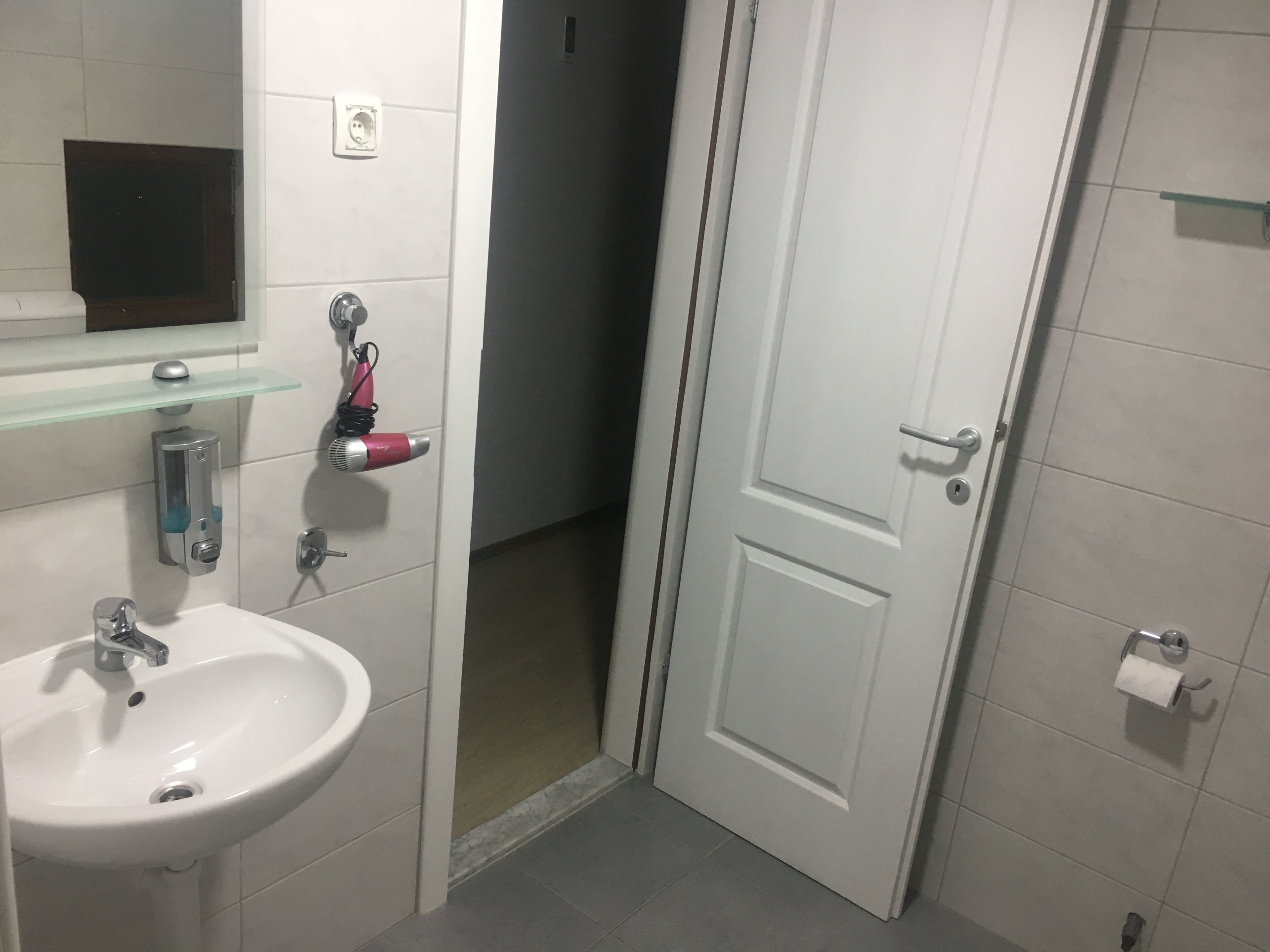 A bathroom with a white sink, a glass shelf, a hairdryer, and a toilet paper holder.