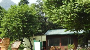 Property grounds - WildHawk Adventures (Yamkeshwar)