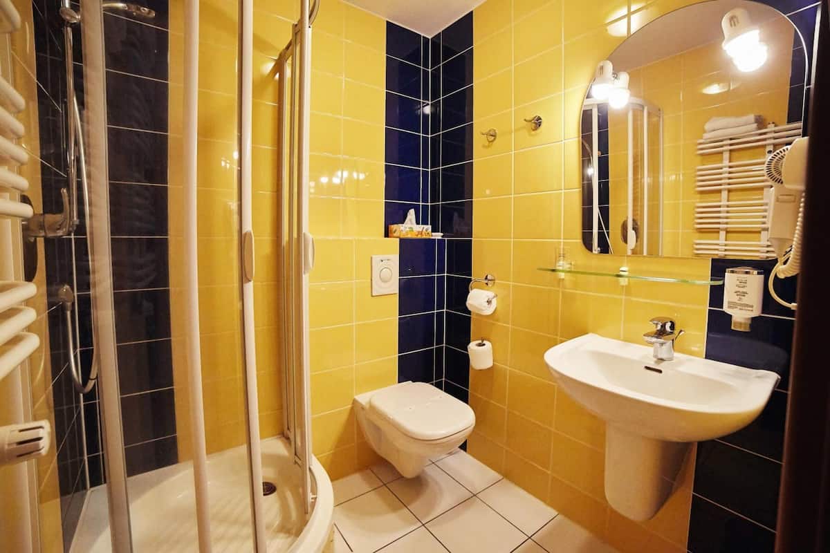 shower, free toiletries, hair dryer, towels