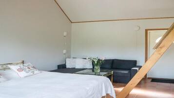 Desk, blackout curtains, iron/ironing board, free WiFi