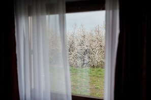 Classic-Doppelzimmer | Ausblick vom Zimmer