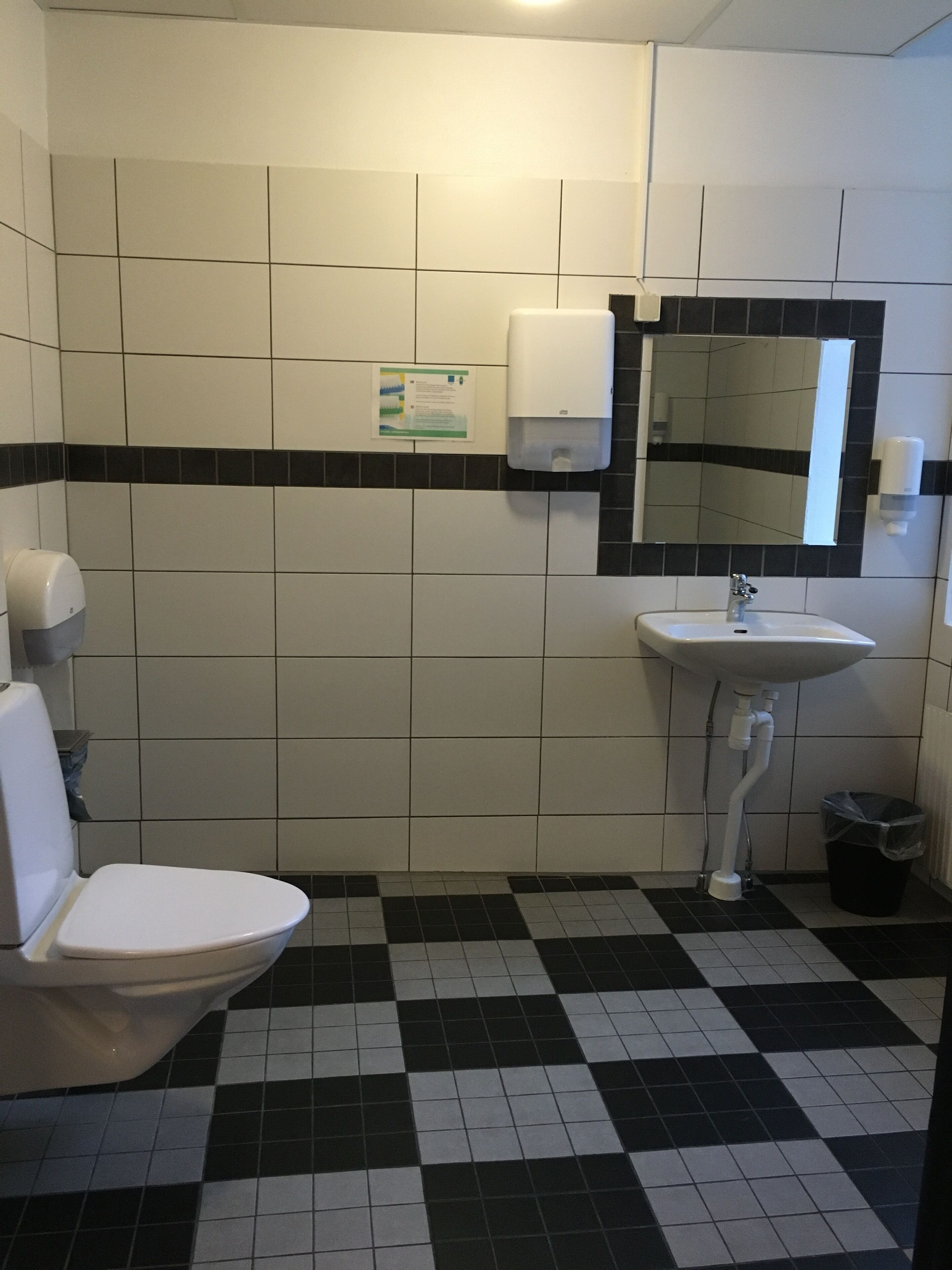 A bathroom with a white toilet, a sink, and a mirror.