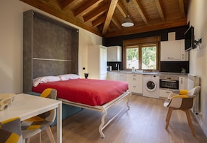 Apartment, Accessible, Private Bathroom (Accesible )