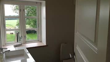 A bathroom with a window, a sink, and a toilet.