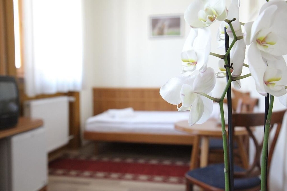 Classic Twin Room, 1 Bedroom