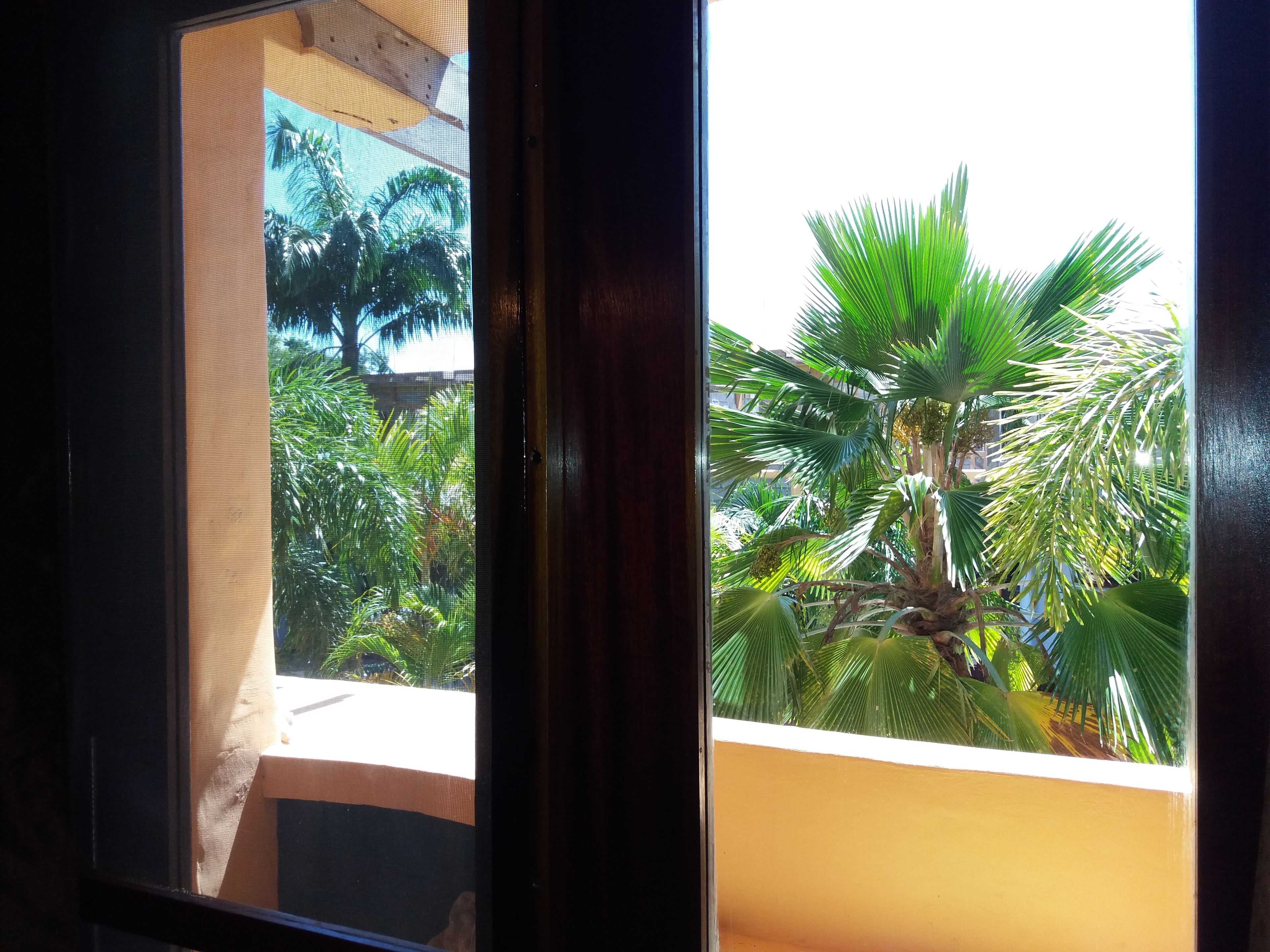 Apartamento familiar, 3 habitaciones, acceso a la piscina, junto a la piscina | Vistas desde la habitación