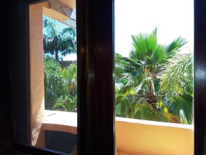 Vista desde la habitación
