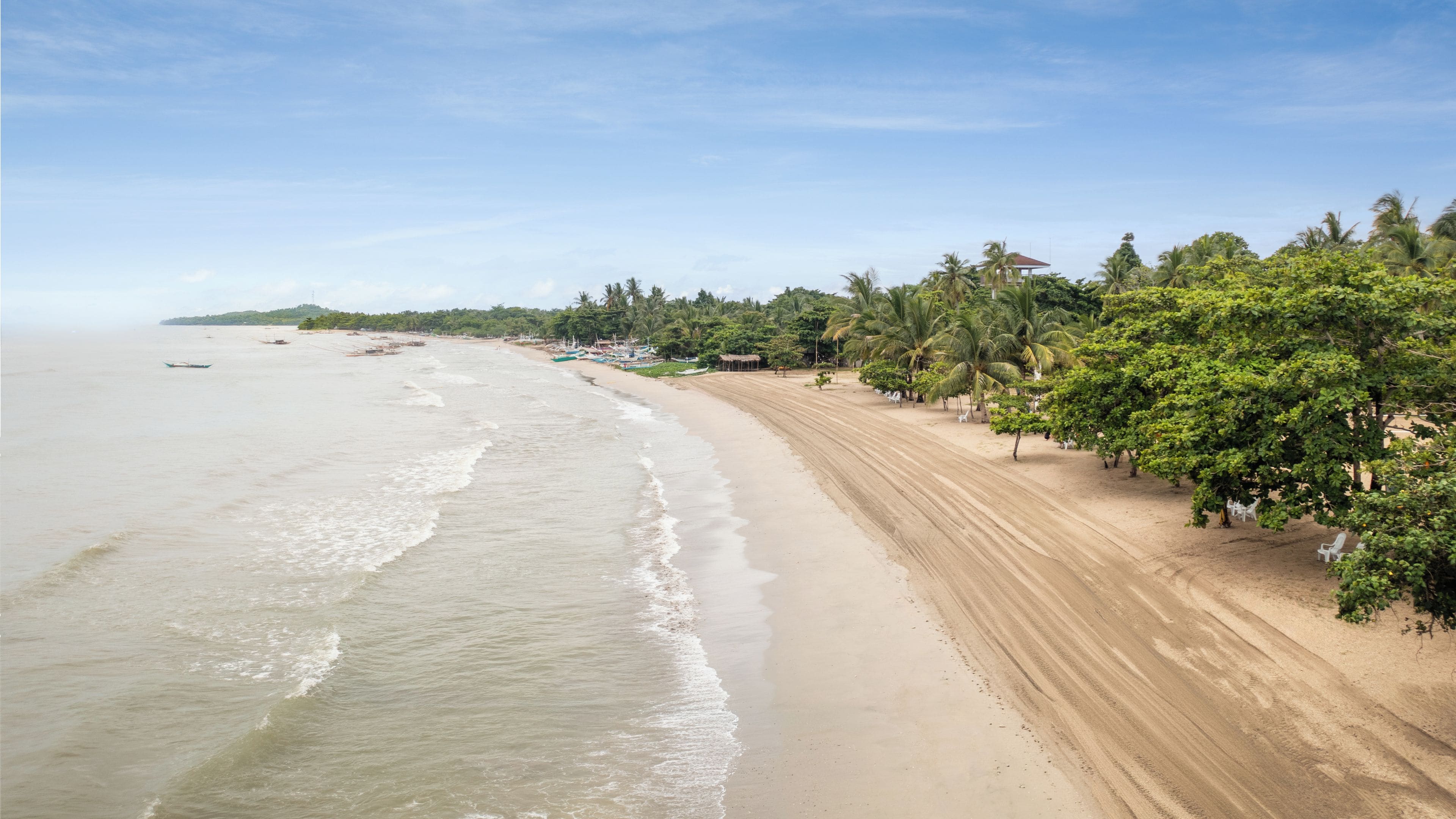 A beach with a sandy shore, palm trees, and a clear sky.