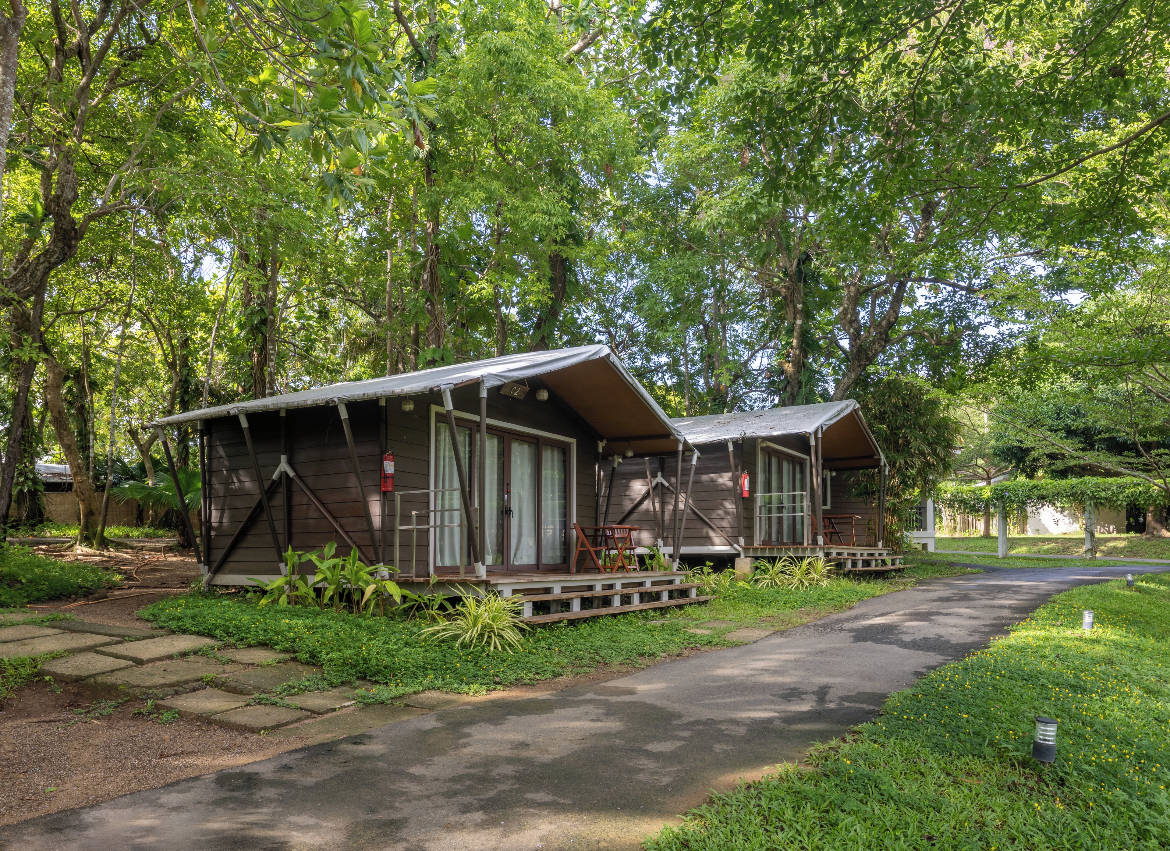 Deux cabanes en bois dotées de grandes fenêtres et d’un porche couvert, entourées d’une végétation luxuriante et bordées d’un chemin pavé.