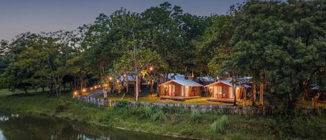 A lakeside property with multiple cabins, each with a deck and surrounded by trees.