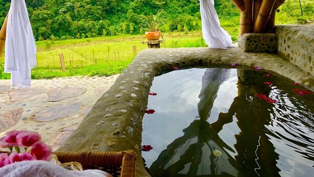 Un bain à remous en pierre offrant une vue dégagée sur un paysage verdoyant luxuriant en arrière-plan.