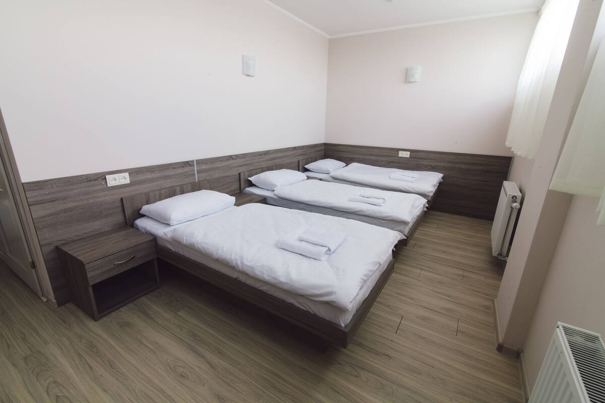 Tripla Economy | Una scrivania, ferro/asse da stiro, Wi-Fi gratuito