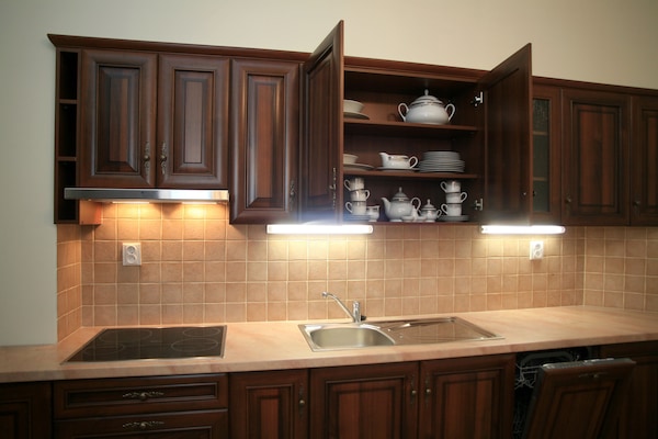 Deluxe Apartment | Private kitchen | Fridge, microwave, stovetop, dishwasher